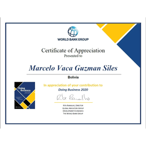 Reconocimiento-World-bank-group-contribution-vaca-guzman-siles-300
